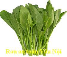 Cải ngồng